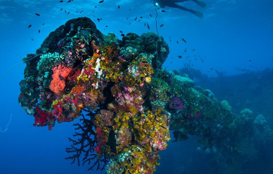 Tauche tiefer: 5 Gründe, einen PADI Deep Diver-Kurs abzuschließen