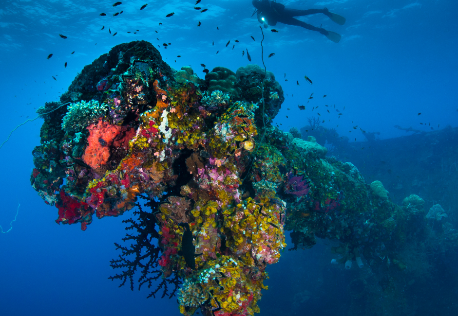 Ga de diepte in: 5 redenen om de PADI Deep Diver-cursus te volgen