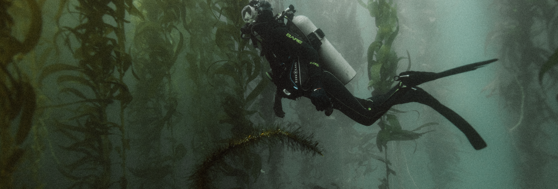 Introducing the New 2023 PADI AmbassaDivers