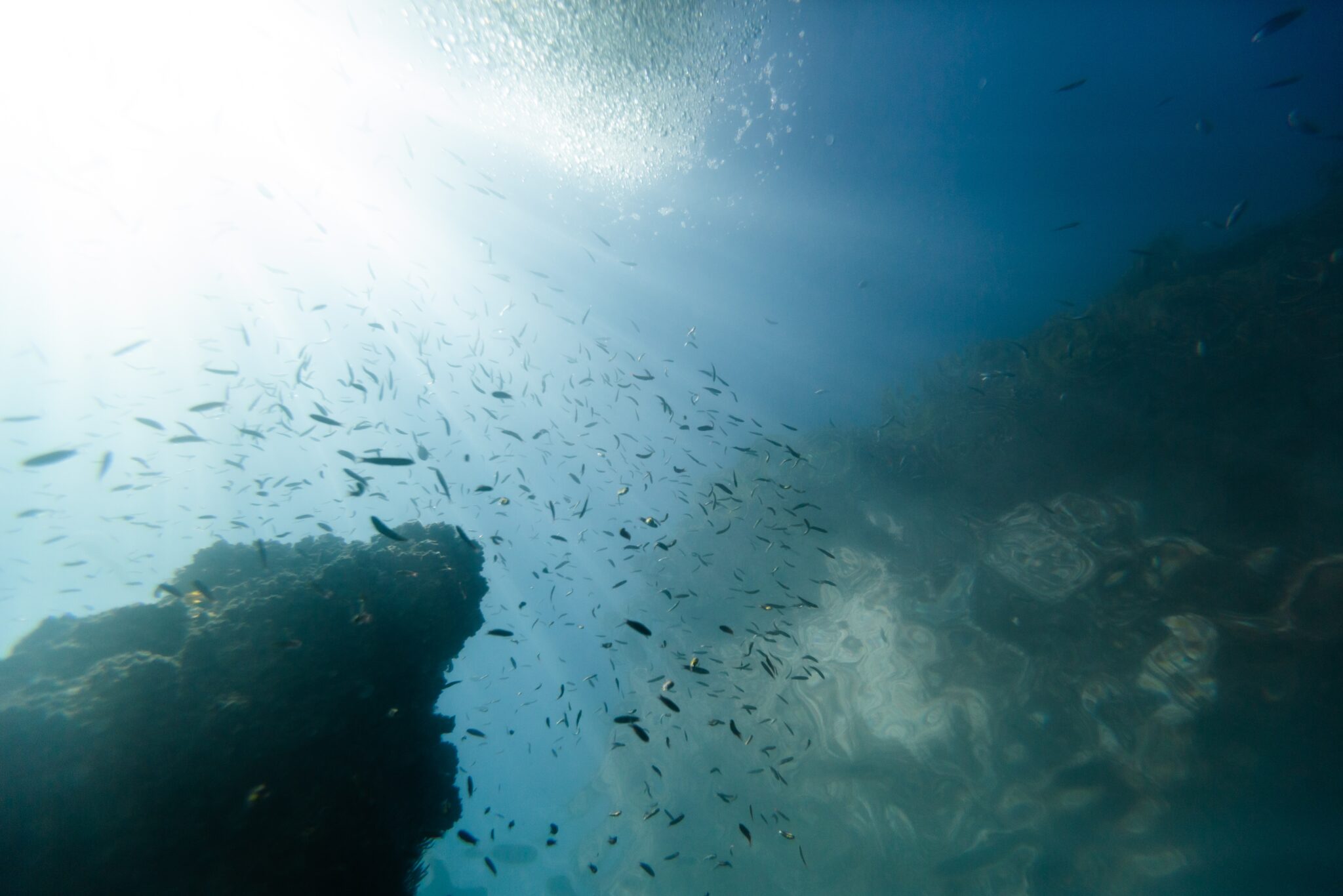 one of the best places to learn to dive in mexico is shown here - puerto vallarta