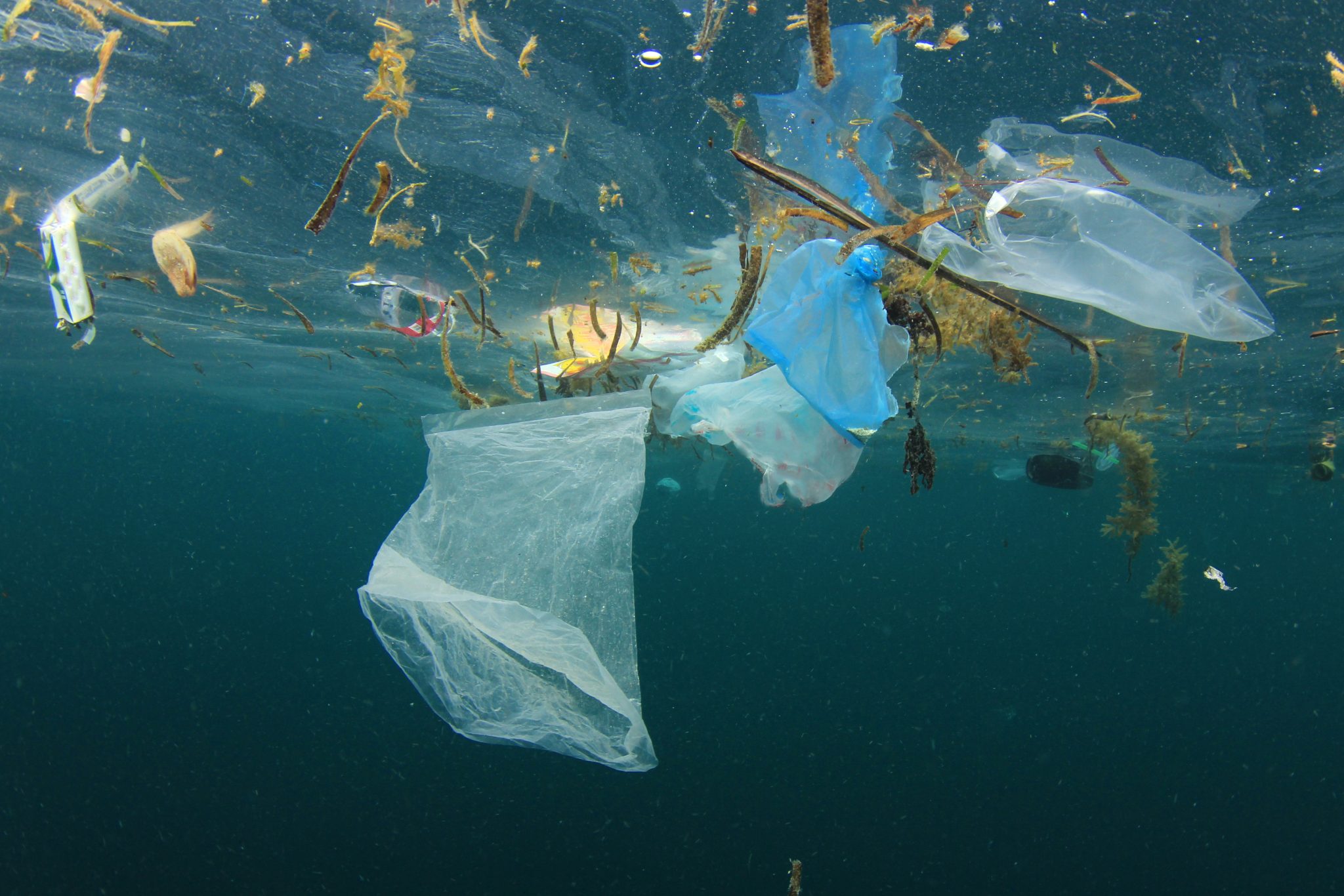 ocean pollution floating in the ocean