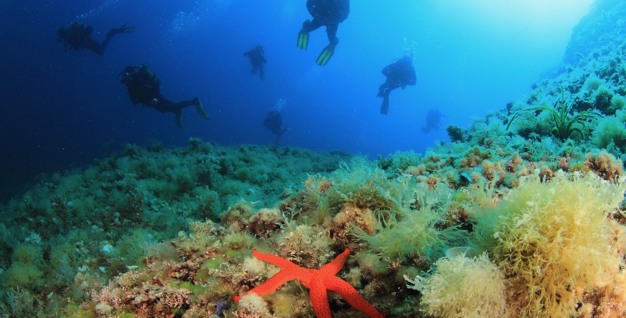 Join PADI at the Mediterranean Diving Show 2023