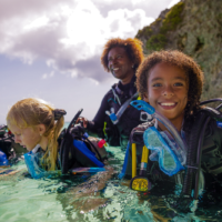 a group of kids goes diving in the ocean and smiles topside
