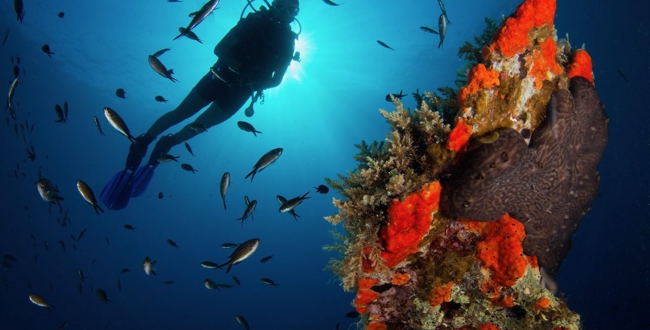 PADI joins Natex Expo in Athens 2023
