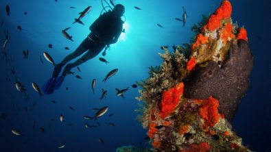 diver underwater next to some red coral on a wreck in Greece