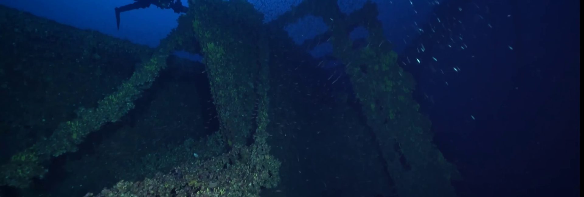 Explore the Wrecks of Kea, Greece