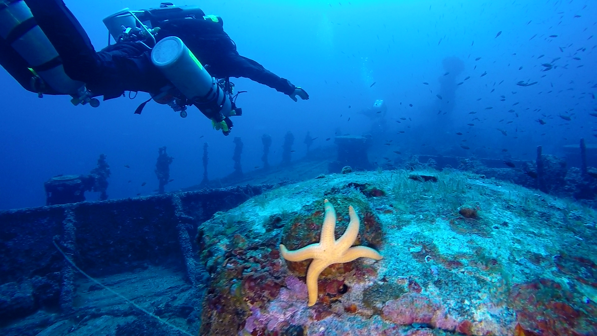 A diver floats over a starfish on the deck of the Burdigala shipwreck near Kea, Greece