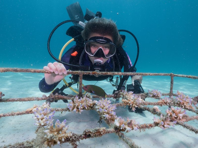 diver with coral garden surprising things divers can do