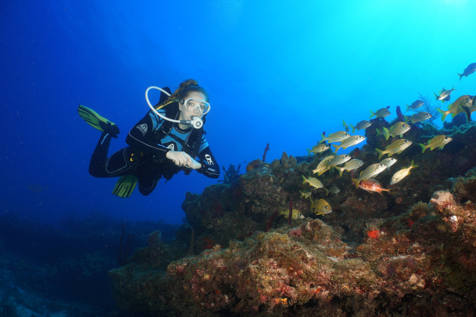 olivia gaiser padi ambassadiver diving