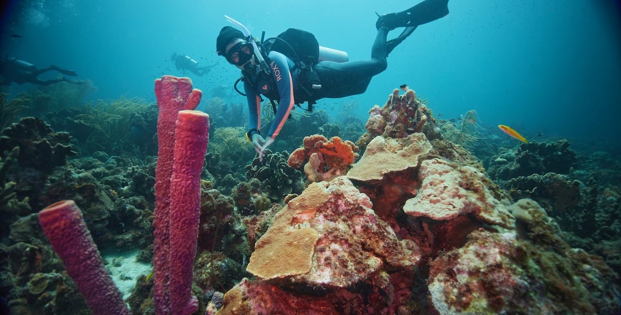 Why Scuba Diving is the Best Day Trip