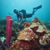 A woman scuba dives in Curacao on a day trip from her resort
