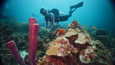A woman scuba dives in Curacao on a day trip from her resort