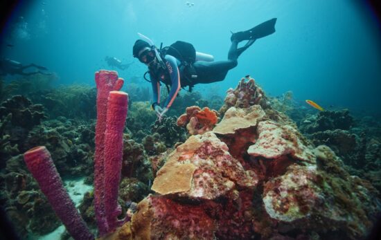A woman scuba dives in Curacao on a day trip from her resort
