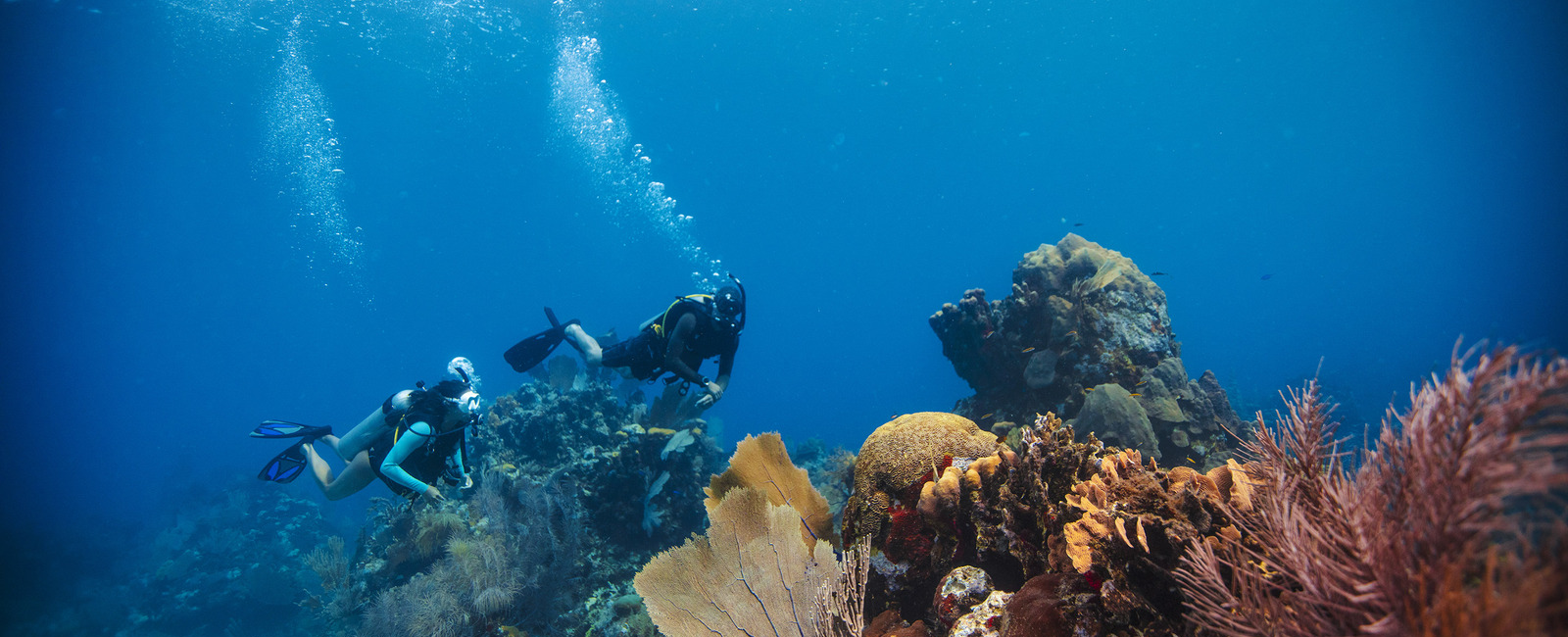 Les rédacteurs du magazine Scuba Diving se souviennent des raisons pour lesquelles ils ont appris à plonger