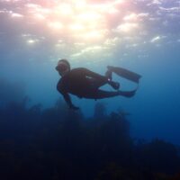 Gunnar Oberhoesel goes freediving in Cape Town