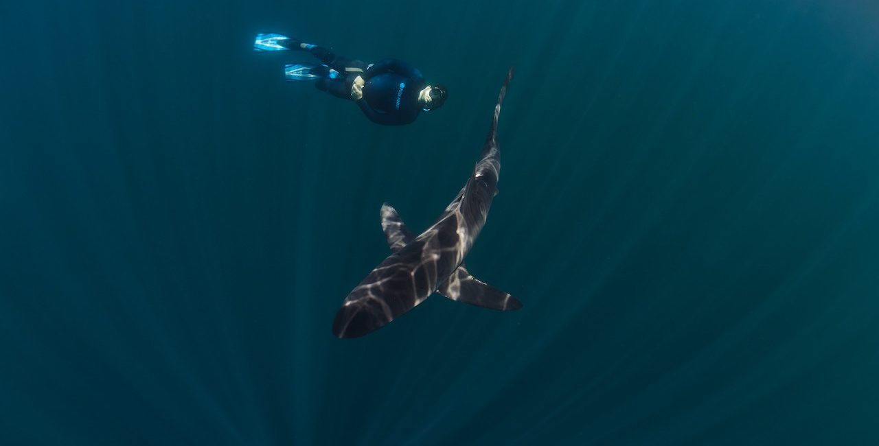 How to Hold Your Breath Longer Underwater