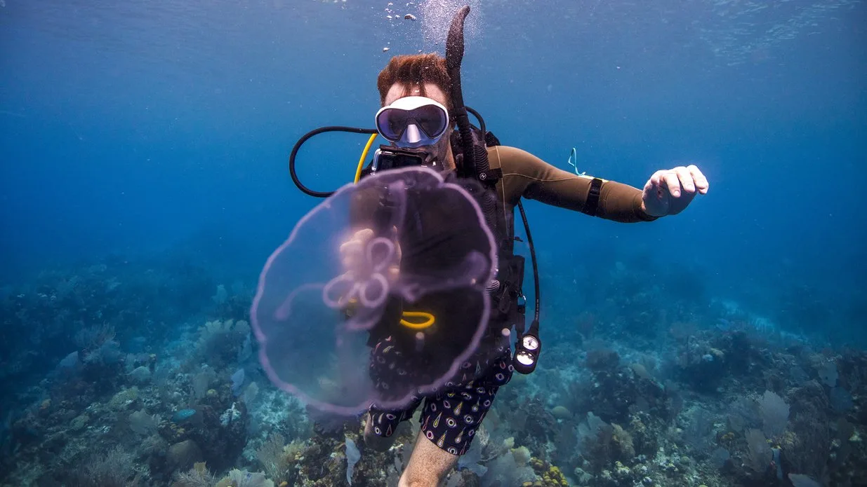 A diver takes a picture or video of a jellyfish using a gopro