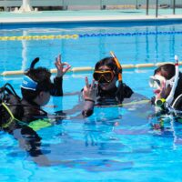 Students learning scuba diving skills in confined water during a PADI Open Water Diver course