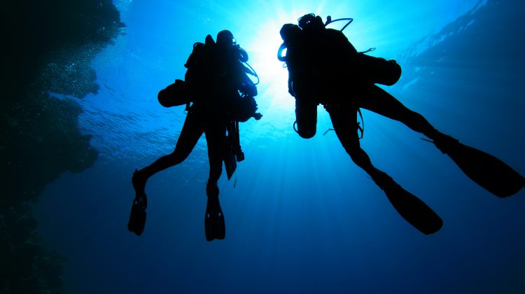 two divers using rebreathers descend from the ocean survace