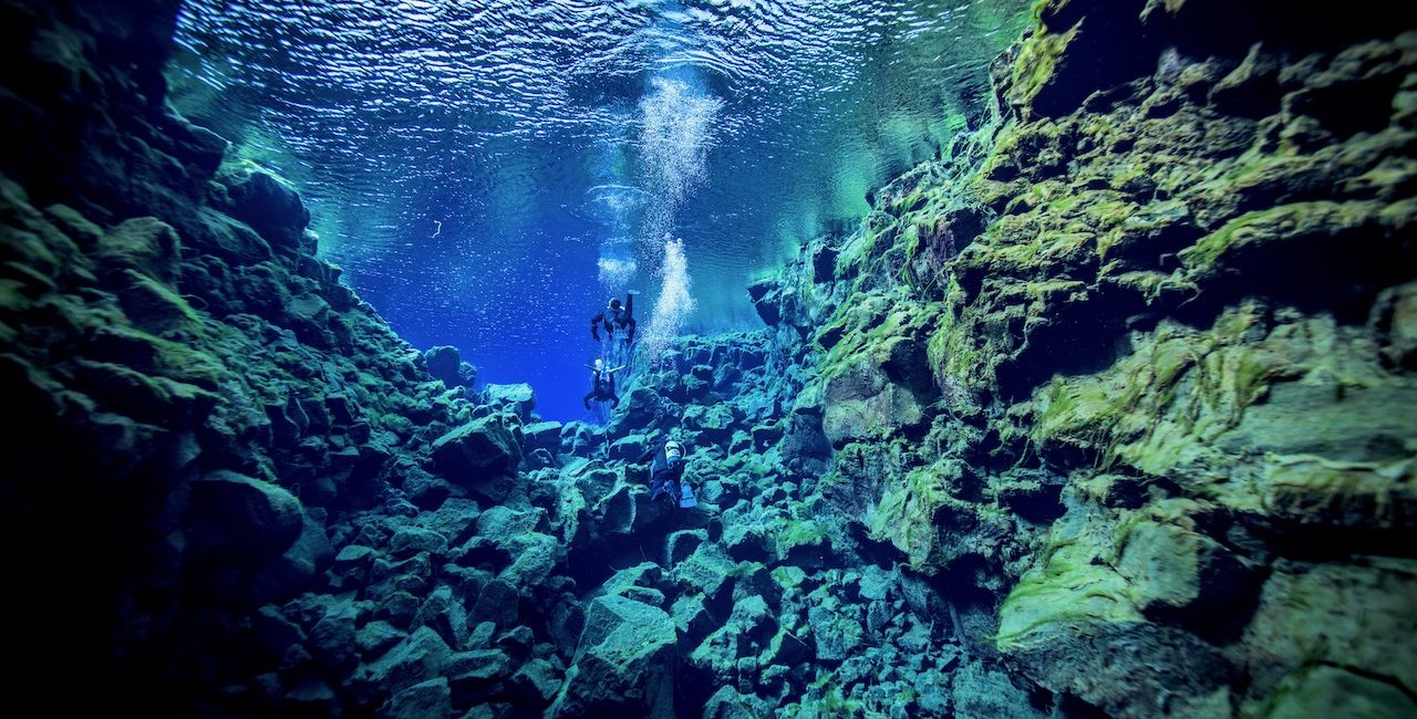 Travailler comme instructeur de plongée dans les régions aux eaux froides