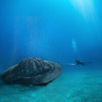 The UFO that was recently discovered underwater in the USA