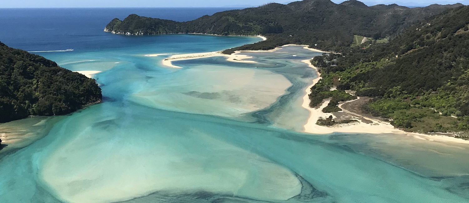 5 of the Best Dive Sites to Explore in New Zealand