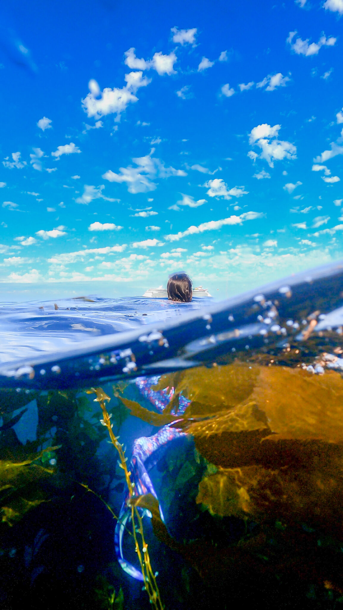 A mermaid floats in a kelp forest in california usa