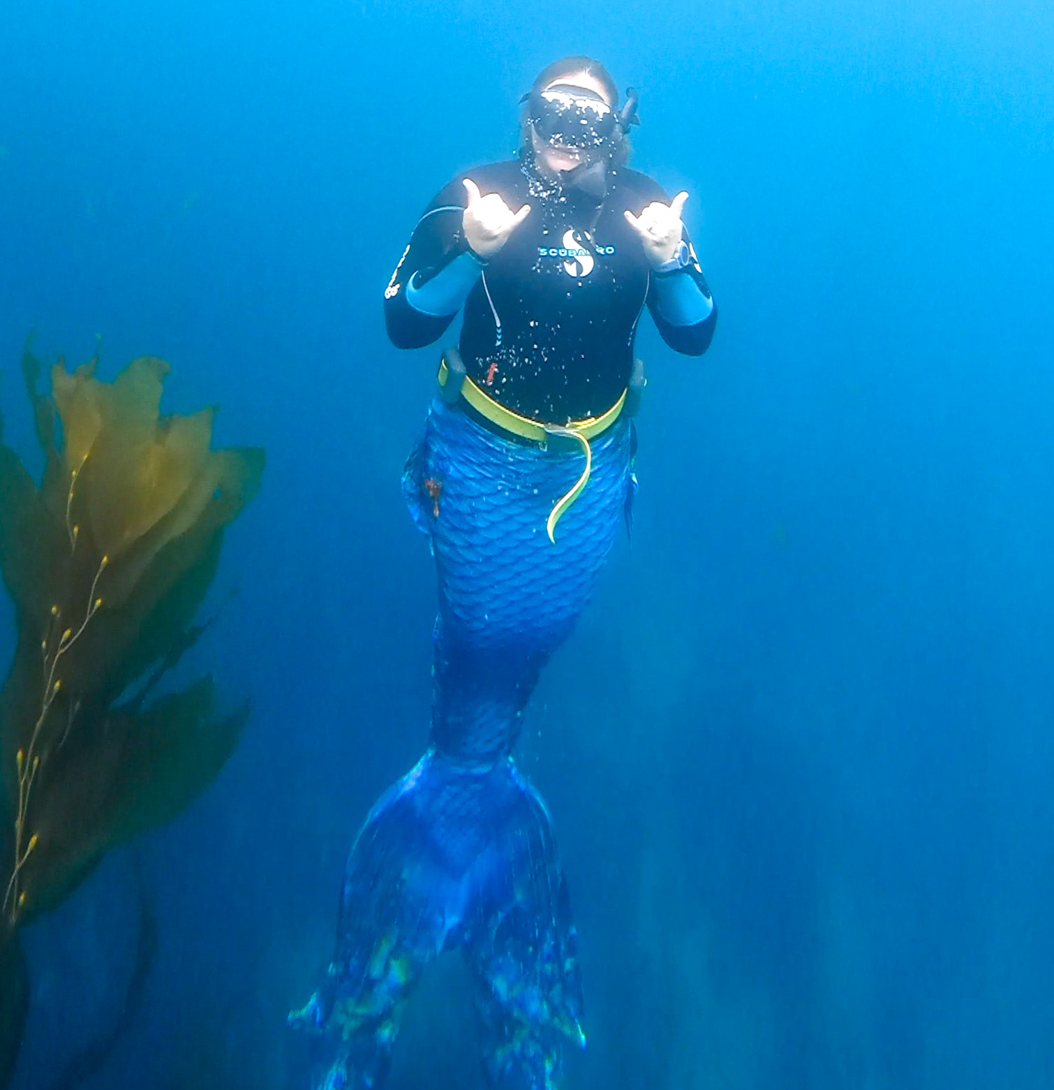 a mermaid dives in cold water and gives the hang loose sign with both hands