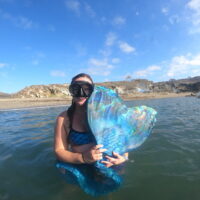 a mermaid shows her monofin to the camera above the surface