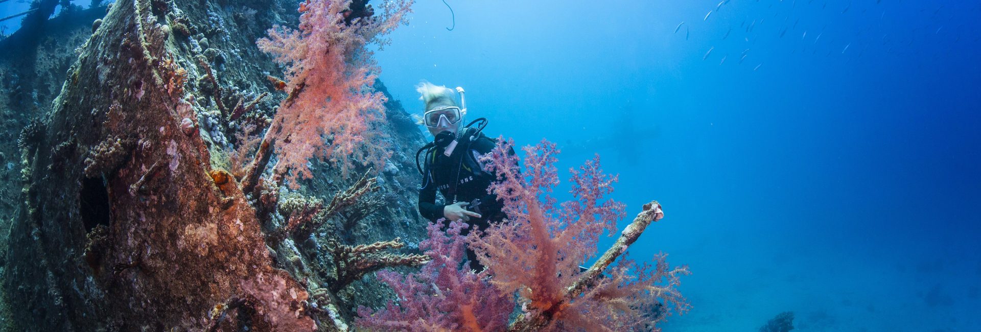 Learning to Scuba Dive in the Red Sea – Stories of Transformation from our #LiveUnfiltered Community