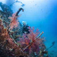 learning to scuba dive in the red sea