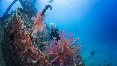 learning to scuba dive in the red sea