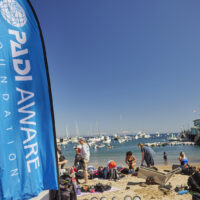Avalon Harbor Underwater Cleanup Before the Event