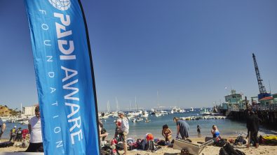 Avalon Harbor Underwater Cleanup Before the Event