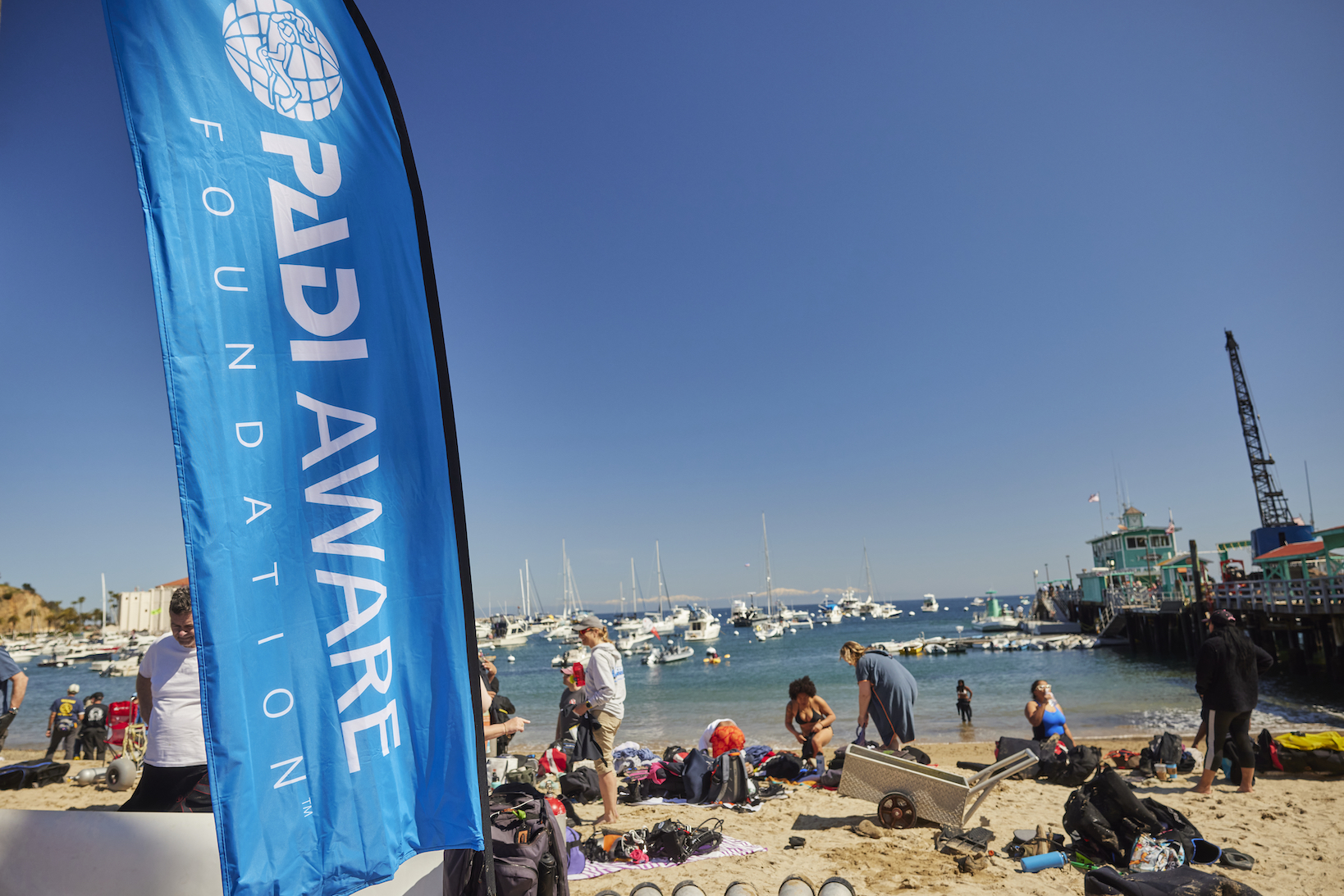 Avalon Harbor Underwater Cleanup Before the Event