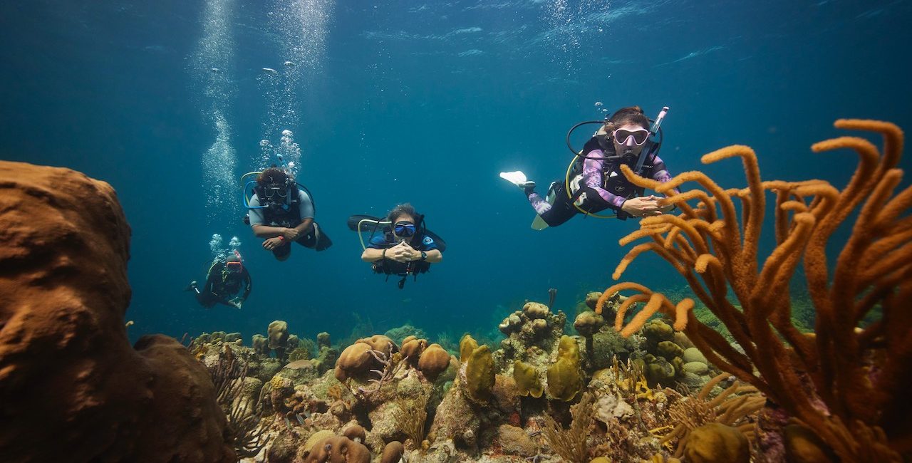 Looking for Paid Work Abroad? Consider Scuba Diving