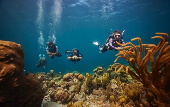 four divers who are all padi pros swim along a coral reef in Curacao