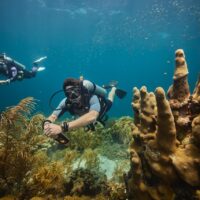 a professional scuba diver and his buddy float along a coral reef in Curacao