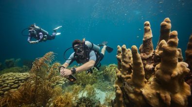 a professional scuba diver and his buddy float along a coral reef in Curacao