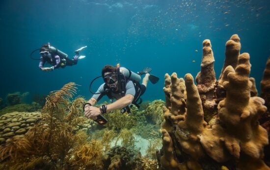 a professional scuba diver and his buddy float along a coral reef in Curacao