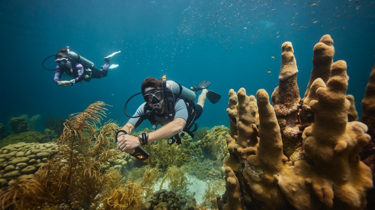 a professional scuba diver and his buddy float along a coral reef in Curacao