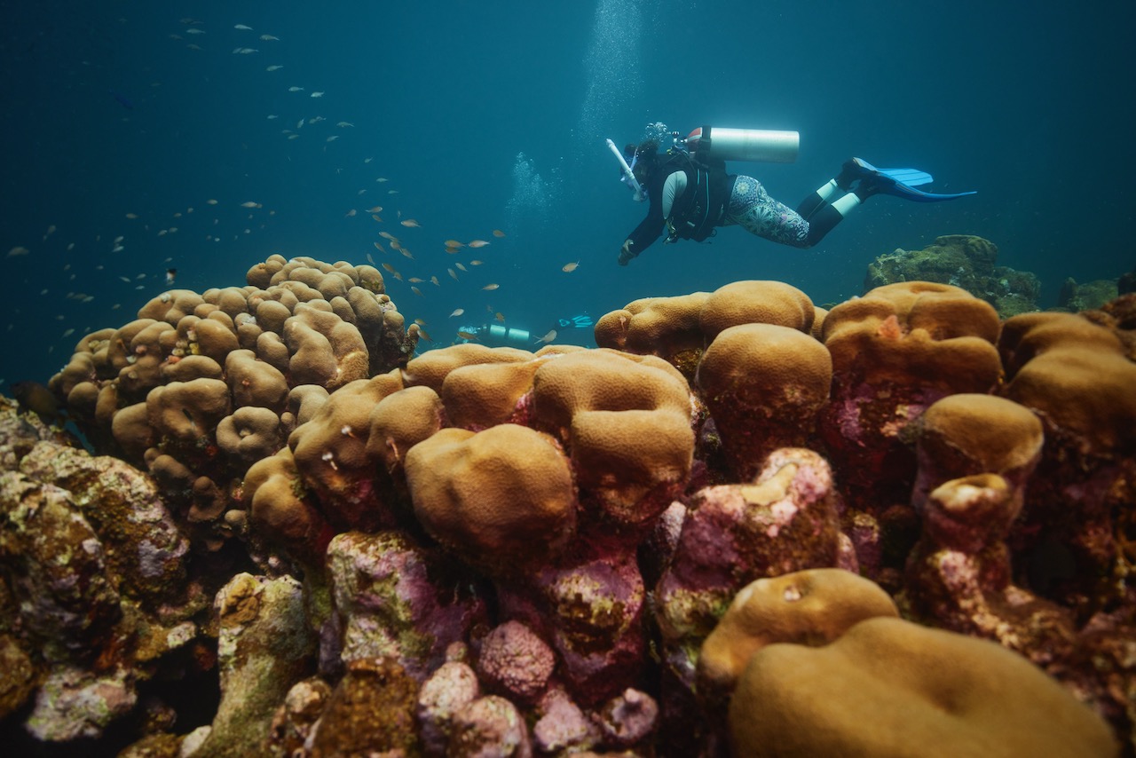 a woman scuba dives over a coral reef in curacao