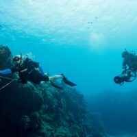 two divers use dpvs to explore a coral reef