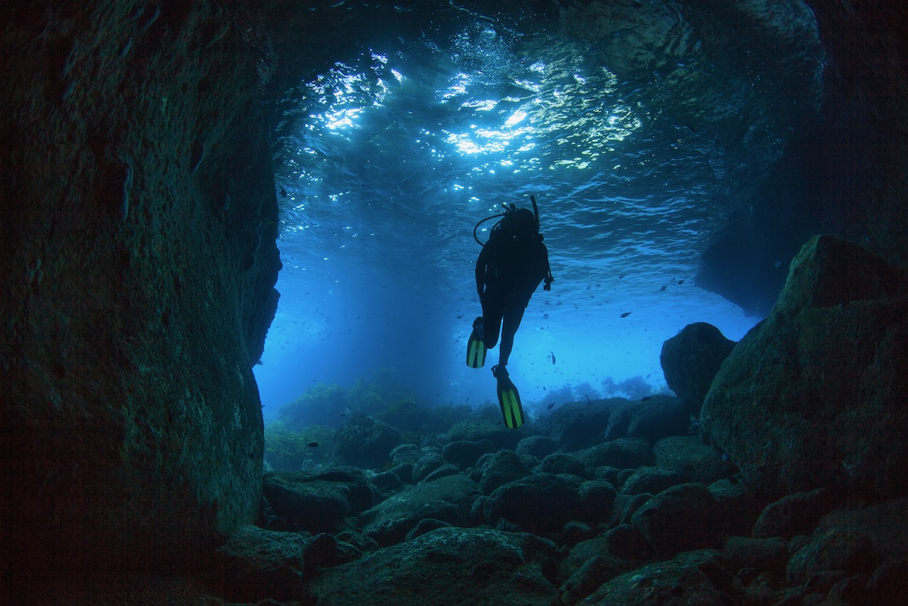 a diver explores a cave underwater in new zealand
