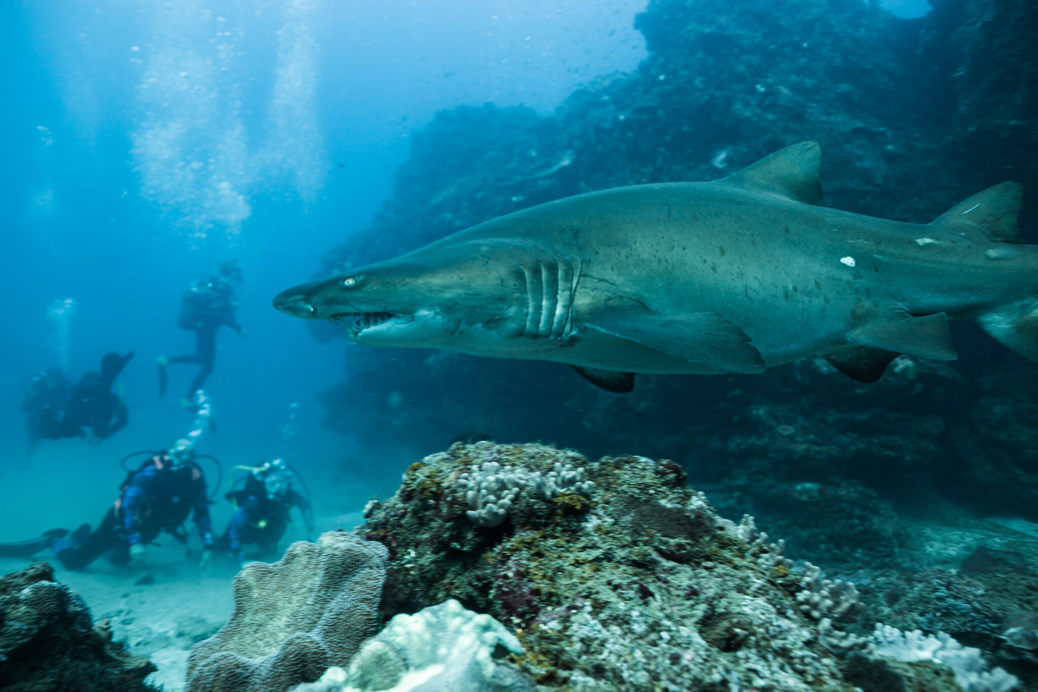 Destination card: Sodwana Bay, KwaZulu-Natal