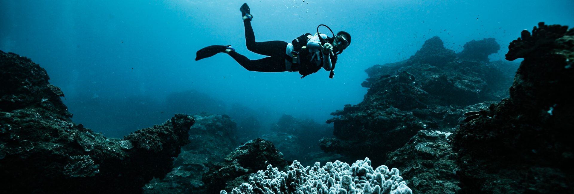 Diving in Sodwana, South Africa: Where Ancient Mysteries and Thriving Reefs Await
