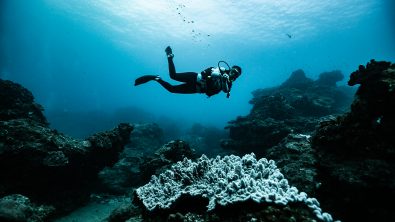 A scuba diver floats through clear waters over a coral reef in Sodwana, South Africa