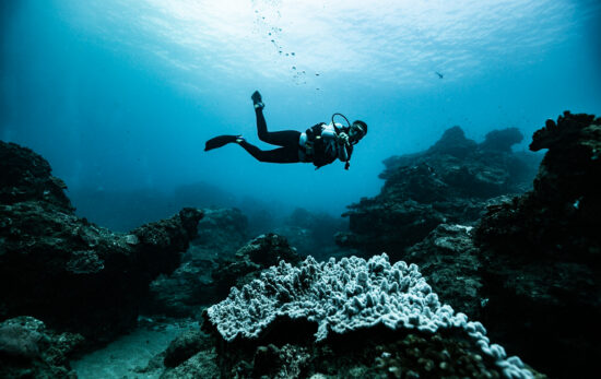 A scuba diver floats through clear waters over a coral reef in Sodwana, South Africa