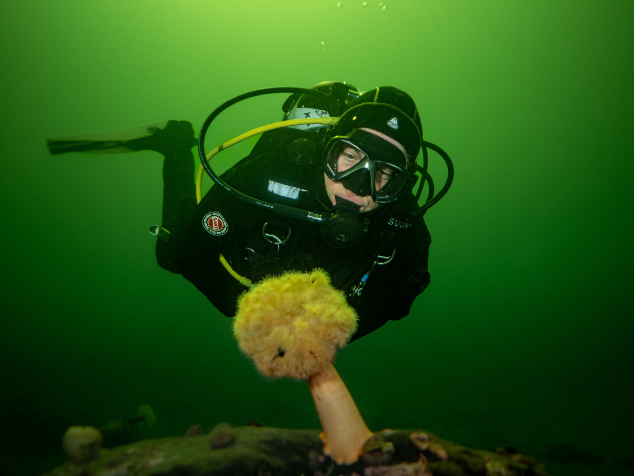A diver explores the underwater world of the UK, looking at some cold water coral