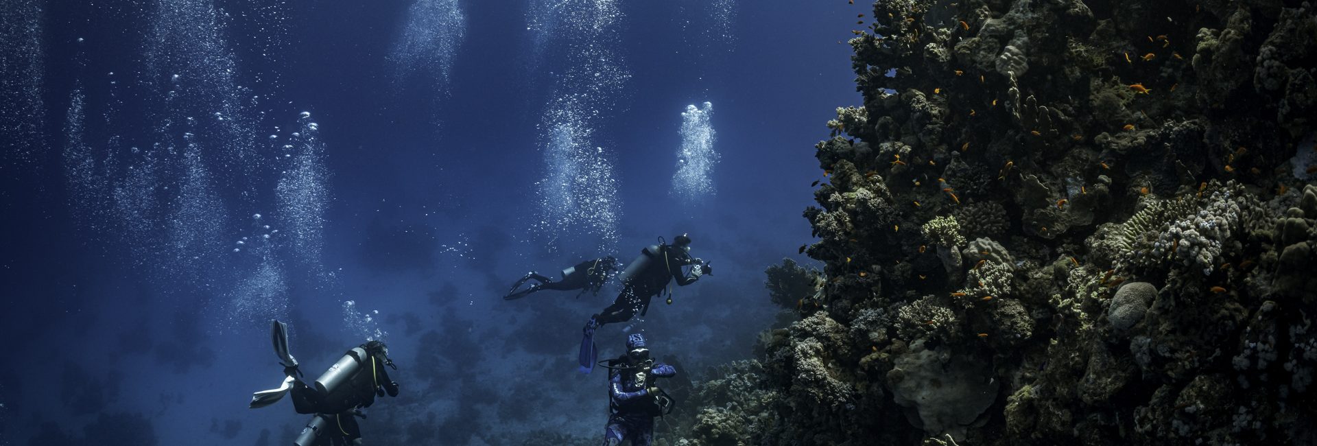 Beneath the Waves: The Lifestyle of an Underwater Videographer